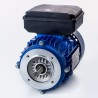 MOTOR MONOFASICO B14 0.12KW/0.17CV 3000RPM IE1 CONDENSACION PERMANENTE