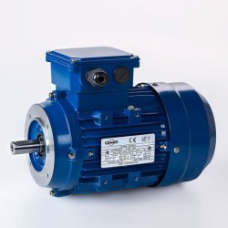 MOTOR TRIFASICO B14 0.18KW/0.25CV 1500RPM IE1